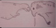 Drawing of graphic highlighting dinosaur and mammoth